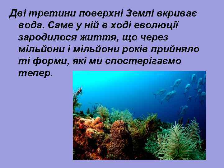 Дві третини поверхні Землі вкриває вода. Саме у ній в ході еволюції зародилося життя,