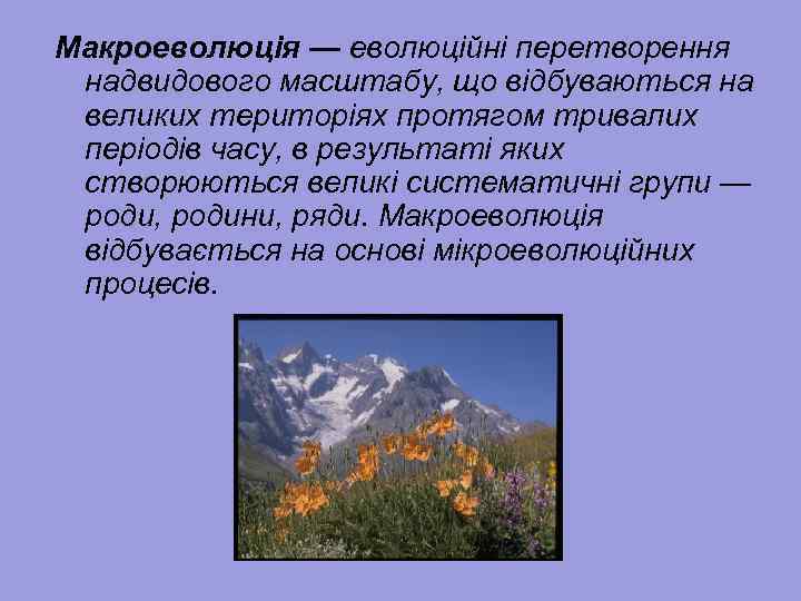 Макроеволюція — еволюційні перетворення надвидового масштабу, що відбуваються на великих територіях протягом тривалих періодів