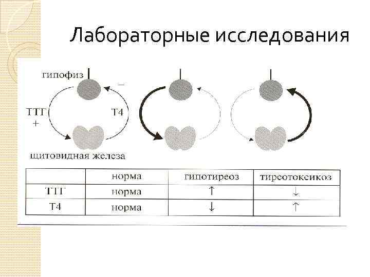 Лабораторные исследования 