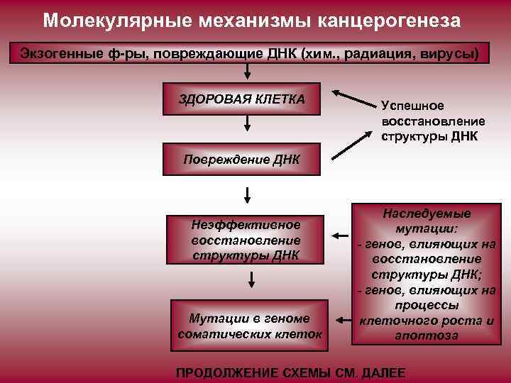Молекулярные механизмы канцерогенеза Экзогенные ф-ры, повреждающие ДНК (хим. , радиация, вирусы) ЗДОРОВАЯ КЛЕТКА Успешное