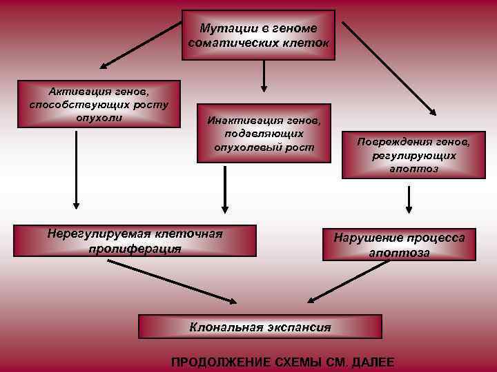 Мутации в геноме соматических клеток Активация генов, способствующих росту опухоли Инактивация генов, подавляющих опухолевый
