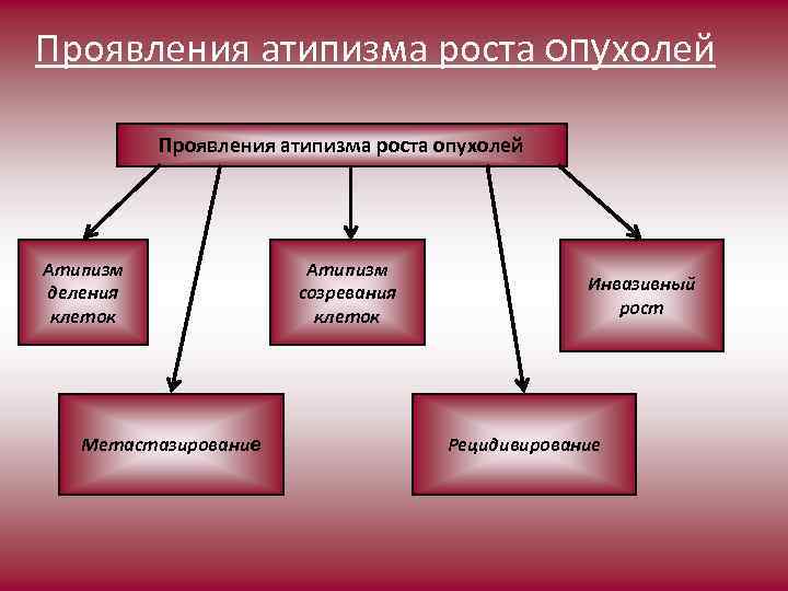 Проявления атипизма роста опухолей Атипизм деления клеток Метастазирование Атипизм созревания клеток Инвазивный рост Рецидивирование
