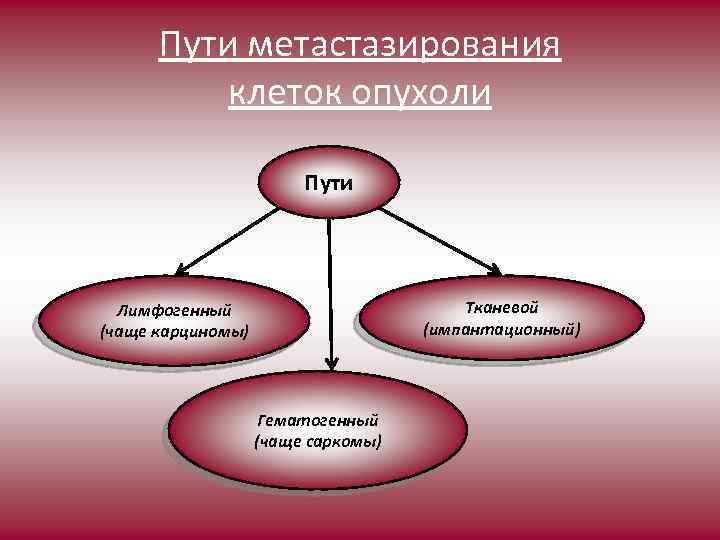 Пути метастазирования клеток опухоли Пути Тканевой (импантационный) Лимфогенный (чаще карциномы) Гематогенный (чаще саркомы) 