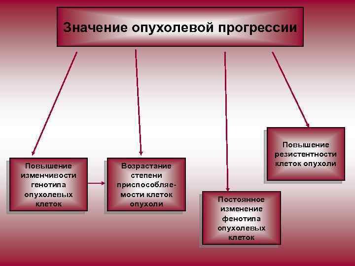 Значение опухолевой прогрессии Повышение изменчивости генотипа опухолевых клеток Возрастание степени приспособляемости клеток опухоли Повышение