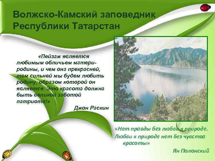 Волжско-Камский заповедник Республики Татарстан «Пейзаж является любимым обличьем материродины, и чем она прекрасней, тем
