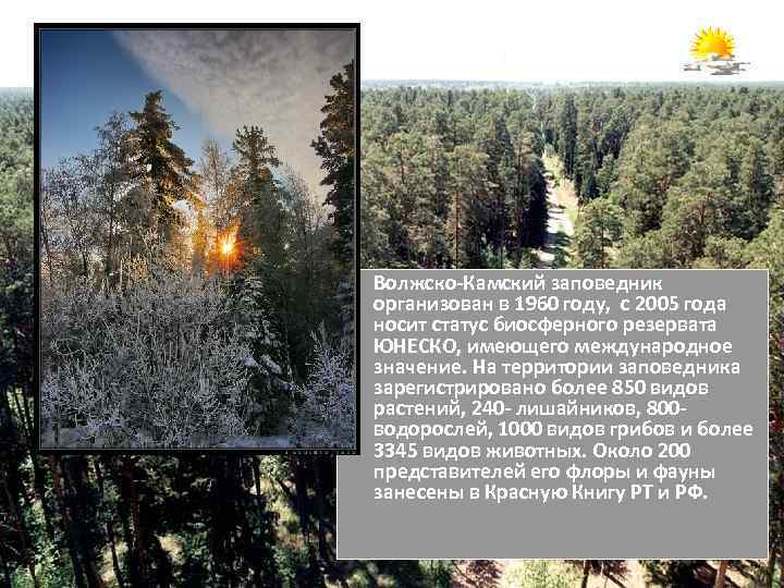  • Волжско-Камский заповедник организован в 1960 году, с 2005 года носит статус биосферного
