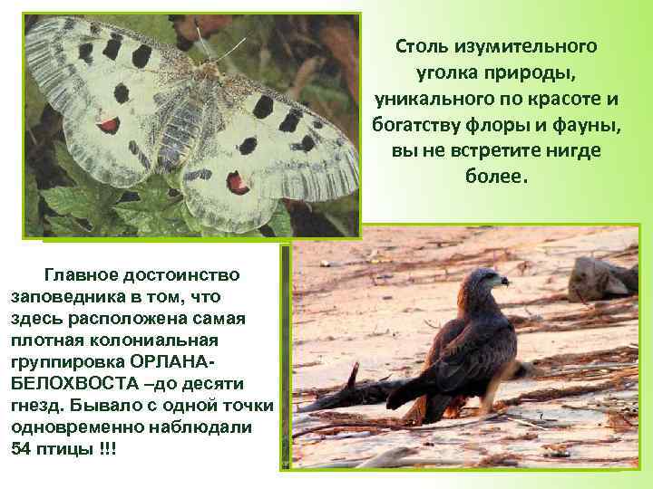 Столь изумительного уголка природы, уникального по красоте и богатству флоры и фауны, вы не