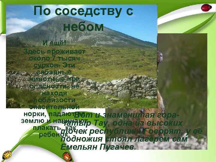 По соседству с небом И ещё! Здесь проживает около 7 тысяч сурков. Эти забавные