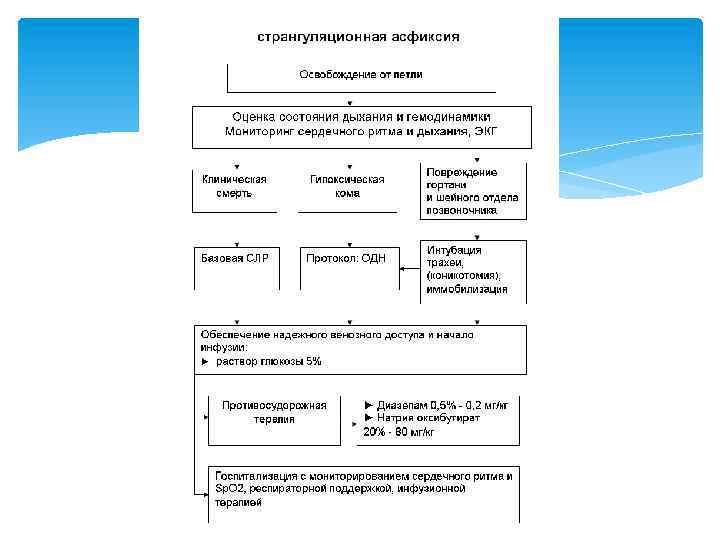 Патогенез странгуляционной асфиксии. Составить схему асфиксия.