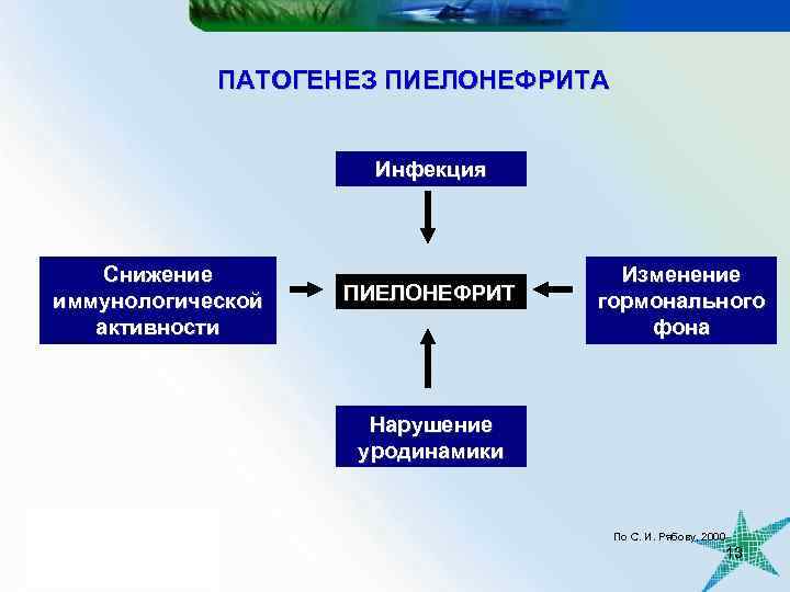 ПАТОГЕНЕЗ ПИЕЛОНЕФРИТА Инфекция Снижение иммунологической активности ПИЕЛОНЕФРИТ Изменение гормонального фона Нарушение уродинамики По С.