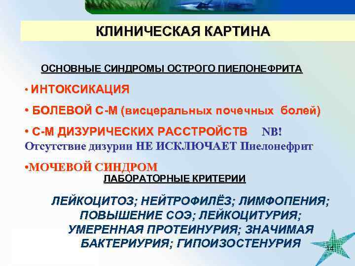 КЛИНИЧЕСКАЯ КАРТИНА ОСНОВНЫЕ СИНДРОМЫ ОСТРОГО ПИЕЛОНЕФРИТА • ИНТОКСИКАЦИЯ • БОЛЕВОЙ С-М (висцеральных почечных болей)