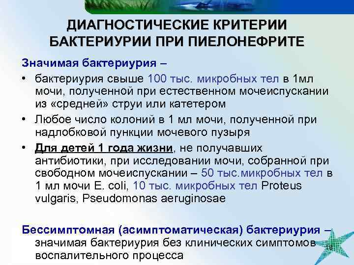 ДИАГНОСТИЧЕСКИЕ КРИТЕРИИ БАКТЕРИУРИИ ПРИ ПИЕЛОНЕФРИТЕ Значимая бактериурия – • бактериурия свыше 100 тыс. микробных