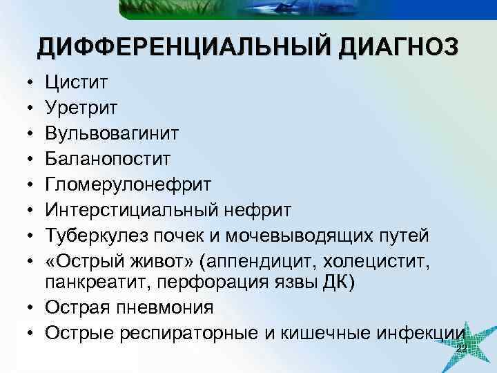 ДИФФЕРЕНЦИАЛЬНЫЙ ДИАГНОЗ • • Цистит Уретрит Вульвовагинит Баланопостит Гломерулонефрит Интерстициальный нефрит Туберкулез почек и