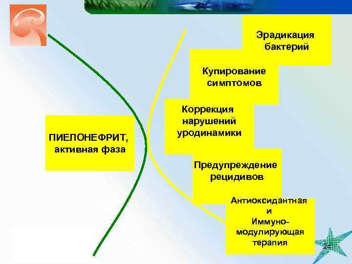Эрадикация бактерий Купирование симптомов ПИЕЛОНЕФРИТ, активная фаза Коррекция нарушений уродинамики Предупреждение рецидивов Антиоксидантная и