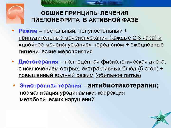 ОБЩИЕ ПРИНЦИПЫ ЛЕЧЕНИЯ ПИЕЛОНЕФРИТА В АКТИВНОЙ ФАЗЕ • Режим – постельный, полупостельный + принудительные