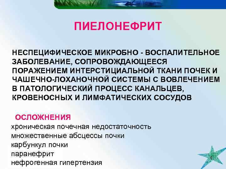 ПИЕЛОНЕФРИТ НЕСПЕЦИФИЧЕСКОЕ МИКРОБНО - ВОСПАЛИТЕЛЬНОЕ ЗАБОЛЕВАНИЕ, СОПРОВОЖДАЮЩЕЕСЯ ПОРАЖЕНИЕМ ИНТЕРСТИЦИАЛЬНОЙ ТКАНИ ПОЧЕК И ЧАШЕЧНО-ЛОХАНОЧНОЙ СИСТЕМЫ