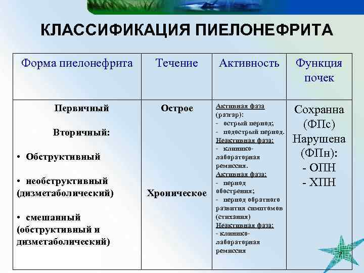 КЛАССИФИКАЦИЯ ПИЕЛОНЕФРИТА Форма пиелонефрита Первичный Течение Активность Функция почек Острое Активная фаза (разгар): -