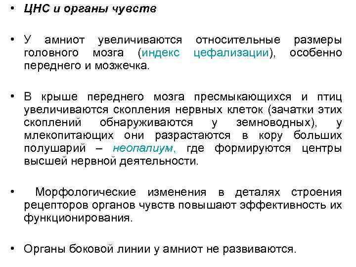 Характеристика подтипа позвоночные анамнии и амниоты. ЦНС И органов чувств. Анамнии и амниоты. Анамнии и амниоты строение. Сравнение анамний и амниот таблица.