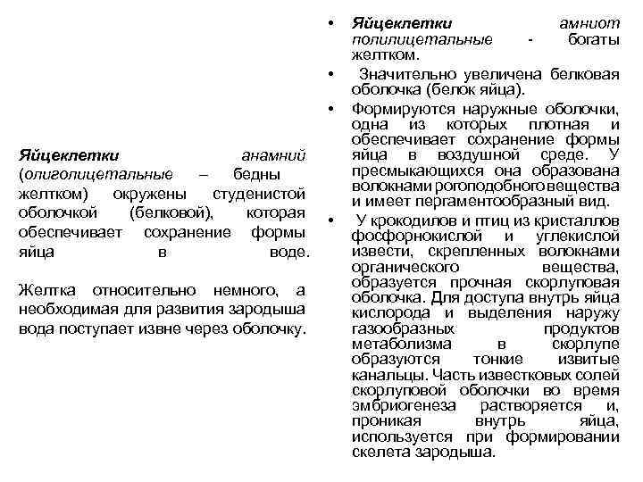  • • • Яйцеклетки анамний (олиголицетальные – бедны желтком) окружены студенистой оболочкой (белковой),