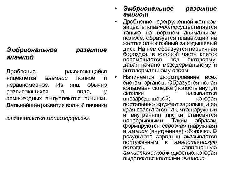 Характеристика подтипа позвоночные анамнии и амниоты