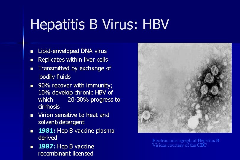 Hepatitis B Virus: HBV n n n n Lipid-enveloped DNA virus Replicates within liver