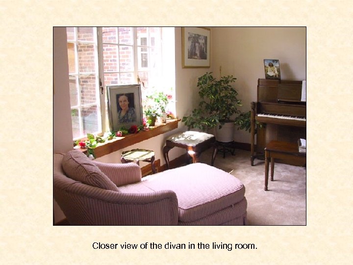 Closer view of the divan in the living room. 