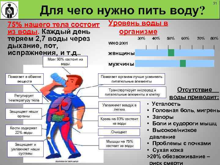  Для чего нужно пить воду? 31 75% нашего тела состоит Уровень воды в