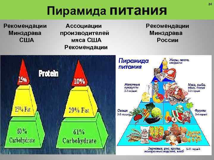 Пирамида питания Рекомендации Минздрава США Ассоциации производителей мяса США Рекомендации Минздрава России 24 