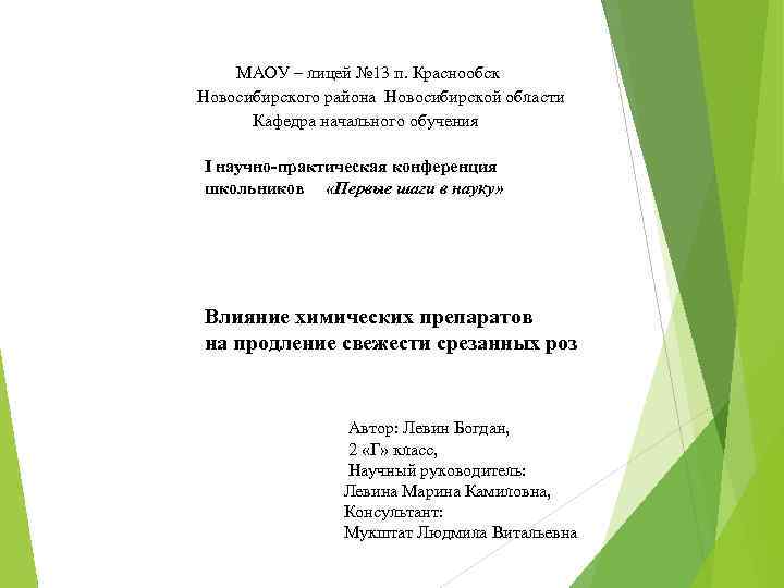  МАОУ – лицей № 13 п. Краснообск Новосибирского района Новосибирской области Кафедра начального
