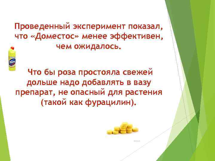 Проведенный эксперимент показал, что «Доместос» менее эффективен, чем ожидалось. Что бы роза простояла свежей