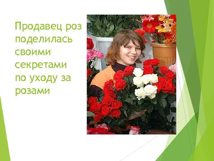 Продавец роз поделилась своими секретами по уходу за розами 