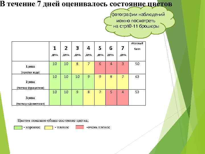 В течение 7 дней оценивалось состояние цветов фотографии наблюдений можно посмотреть на стр10 -11