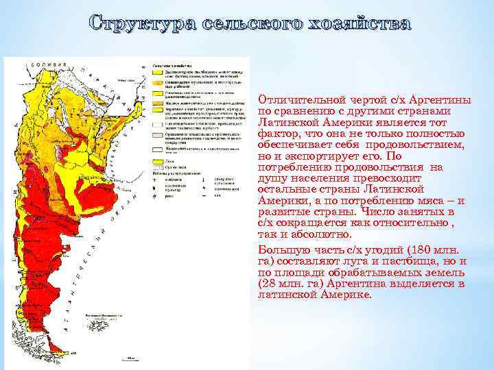 Эгп латинской америки по плану 11 класс