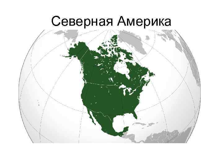 Северная Америка 