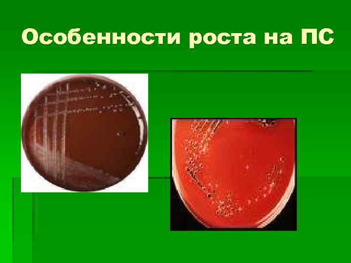 Особенности роста на ПС 