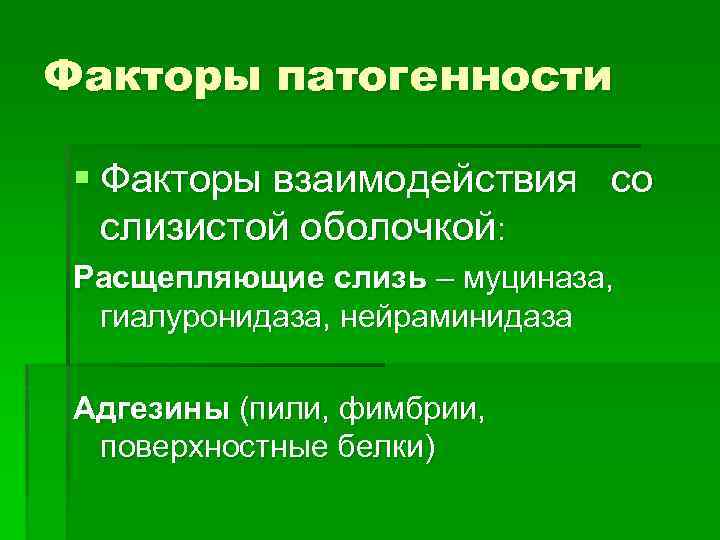 Факторы патогенности § Факторы взаимодействия со слизистой оболочкой: Расщепляющие слизь – муциназа, гиалуронидаза, нейраминидаза