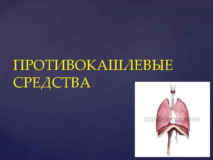 ПРОТИВОКАШЛЕВЫЕ СРЕДСТВА 