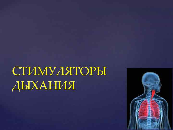 СТИМУЛЯТОРЫ ДЫХАНИЯ 