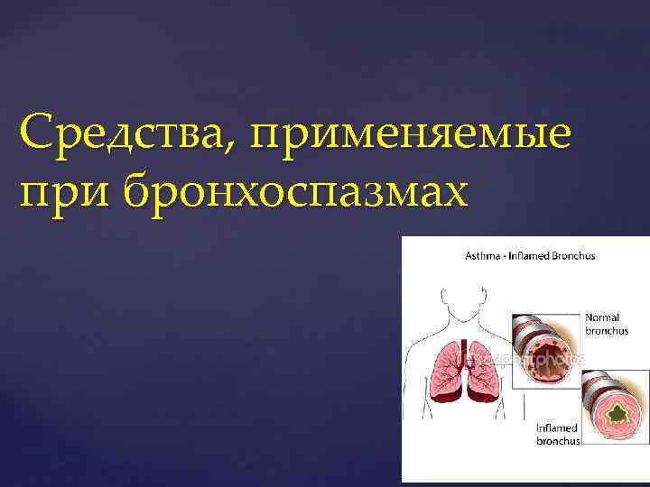 Средства, применяемые при бронхоспазмах 