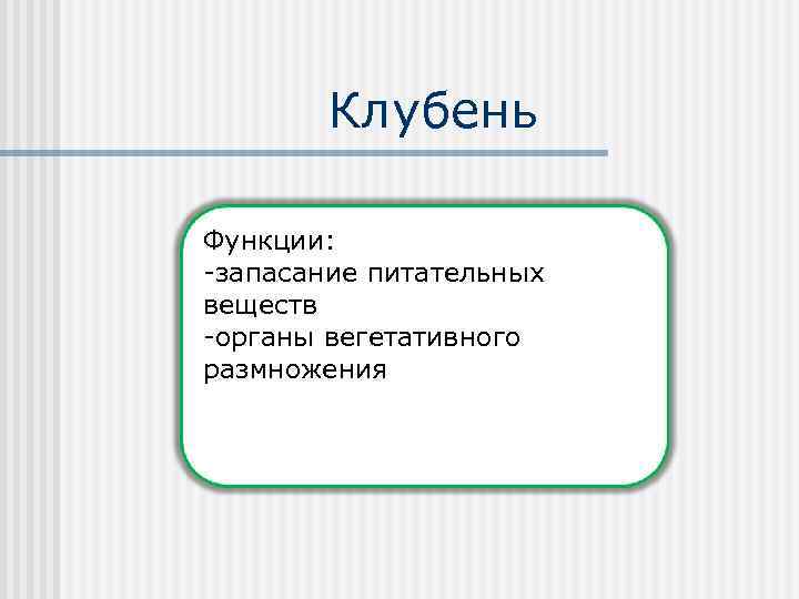 Клубень Функции: -запасание питательных веществ -органы вегетативного размножения 