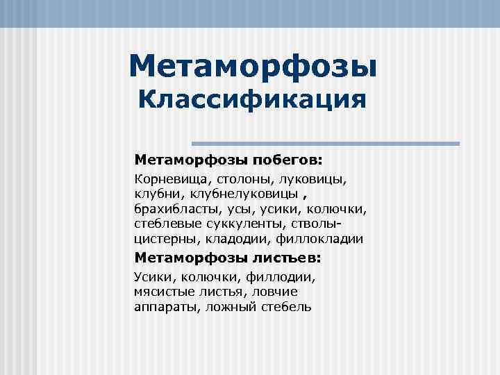 Метаморфозы Классификация Метаморфозы побегов: Корневища, столоны, луковицы, клубни, клубнелуковицы , брахибласты, усики, колючки, стеблевые