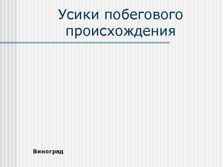 Усики побегового происхождения Виноград 