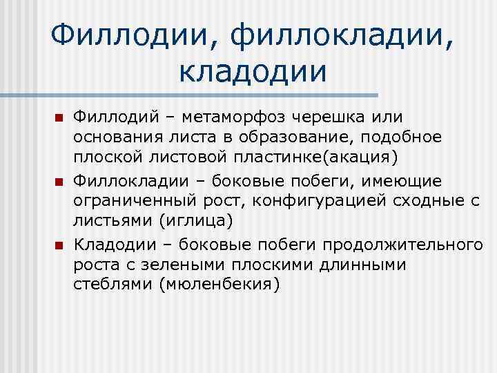 Филлодии, филлокладии, кладодии n n n Филлодий – метаморфоз черешка или основания листа в