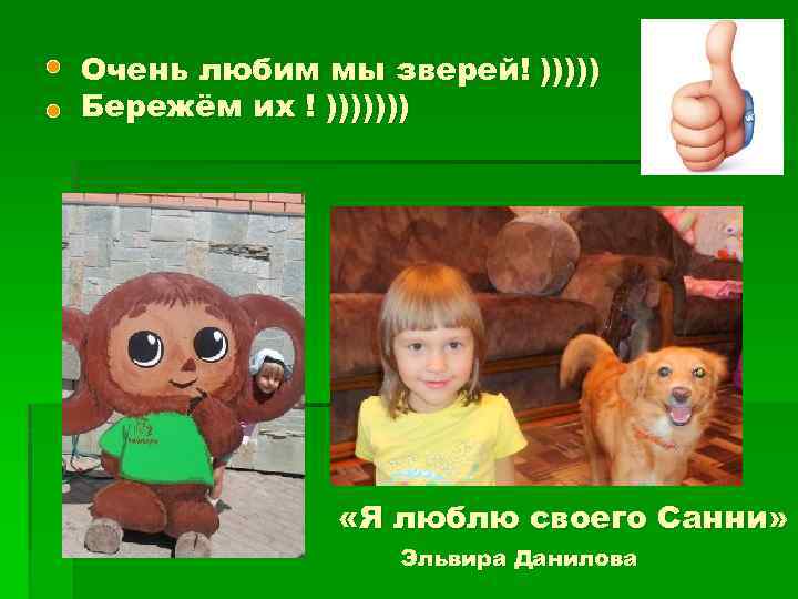 Очень любим мы зверей! ))))) Бережём их ! ))))))) «Я люблю своего Санни» Эльвира