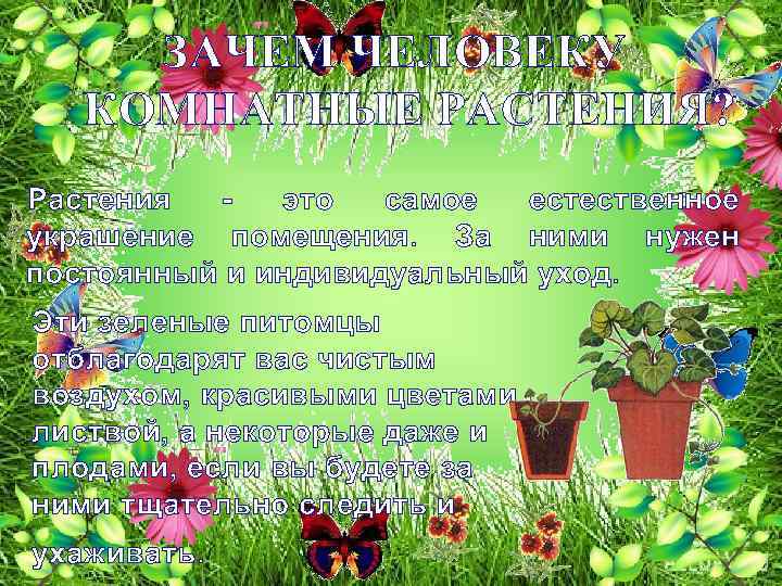 ЗАЧЕМ ЧЕЛОВЕКУ КОМНАТНЫЕ РАСТЕНИЯ? Растения это самое естественное украшение помещения. За ними нужен постоянный