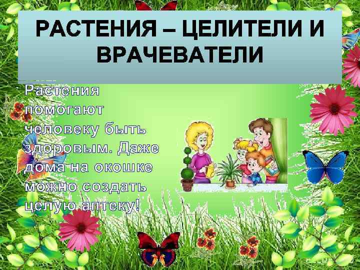 Растения помогают человеку быть здоровым. Даже дома на окошке можно создать целую аптеку! 