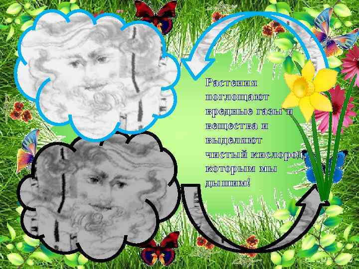 Растения поглощают вредные газы и вещества и выделяют чистый кислород, которым мы дышим! 