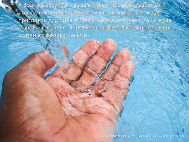  • • Водные ресурсы – вода в поверхностных водоемах и подземные воды. Сюда