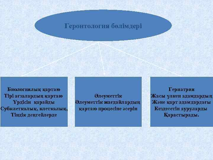 Геронтология бөлімдері Биологиялық қартаю Тірі ағзалардың қартаю Үрдісін қарайды Субклеткалық, Тіндік деңгейлерде Әлеуметтік жағдайлардың