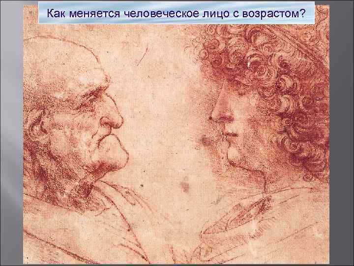 Как меняется человеческое лицо с возрастом? 